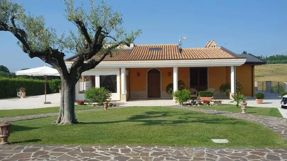 B&B Agrifoglio SantʼElpidio a Mare Exterior foto