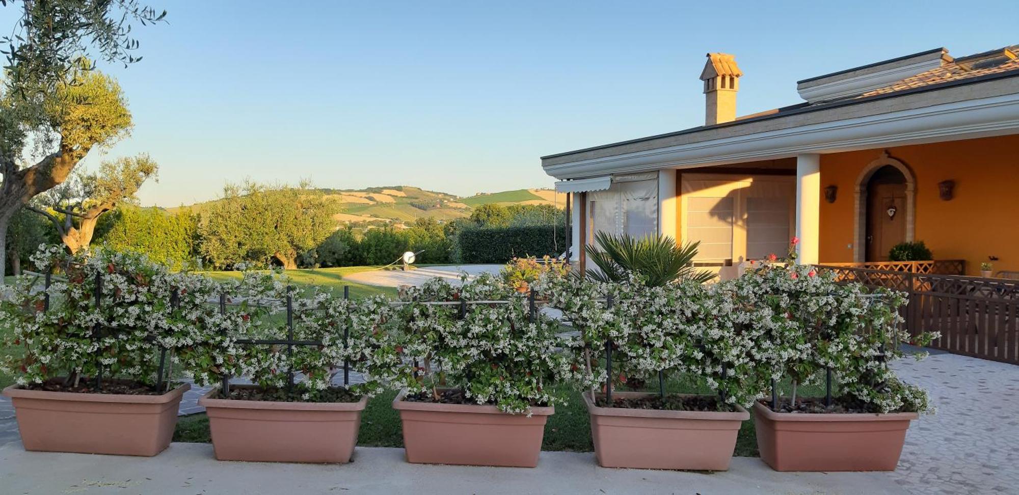 B&B Agrifoglio SantʼElpidio a Mare Exterior foto